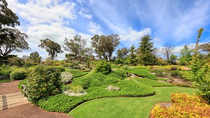 Japanese Garden - Cowra 